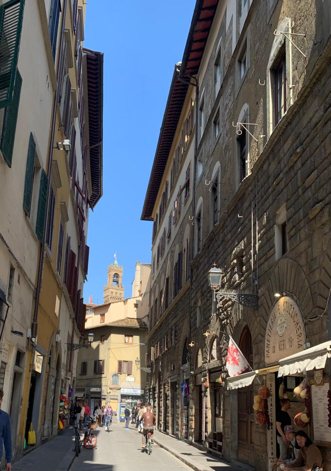 Moscavacation Florencia